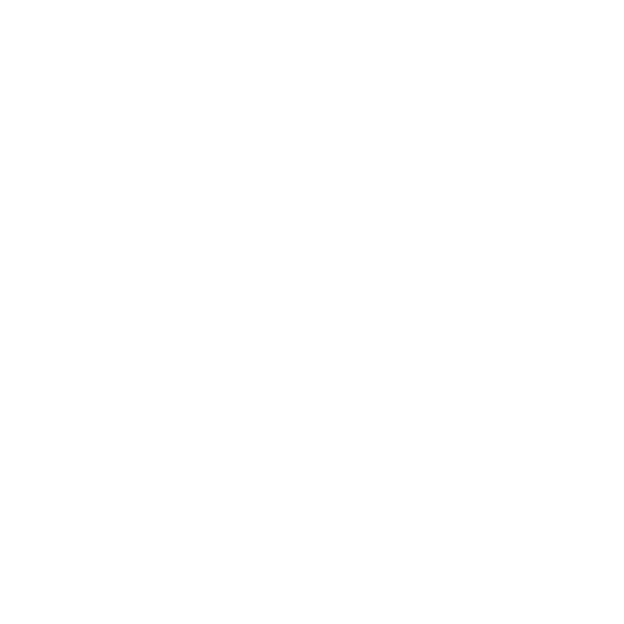 Salomon 1965 | Family Values